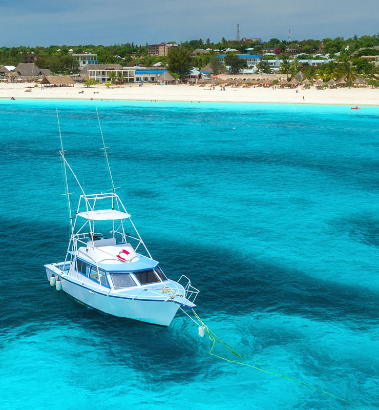 image 4 scottdamron.co